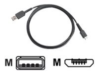Zebra - USB cable - USB (M) to Micro-USB Type B (M)