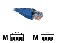 Nexxt - Cable de interconexión - RJ-45 (M) a RJ-45 (M)