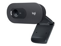 Logitech C505 - Webcam - color