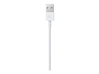 Apple - Cable Lightning - Lightning macho a USB macho