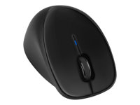 HP Wireless Comfort - Mouse - wireless