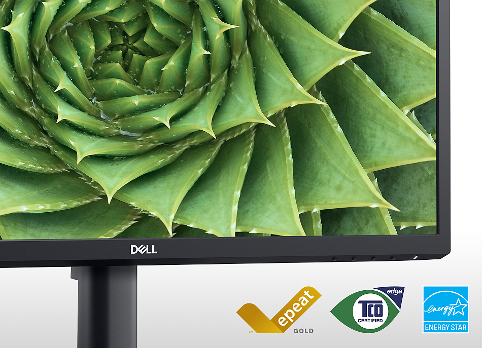 Monitor Dell E H In Hz X Vga Dp Fixed Stand Yw