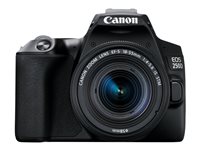 Canon EOS 250D - Digital camera - SLR - 24.1 MP - APS-C - 4K / 25 fps - 3x optical zoom EF-S 18-55mm IS STM lens - Wi-Fi, Bluetooth - black