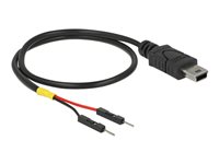 DeLOCK 4 pin mini-USB Type B (male) - 2 pin USB-samlestykke (male) Sort 30cm USB / strøm kabel