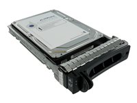 Axiom AXD Hard drive 1 TB hot-swap 3.5INCH LFF SATA 6Gb/s 7200 rpm buffer: 64 MB 