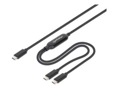 0766623355810 - MANHATTAN Dual USB-C Ladekabel 100 W 2 m