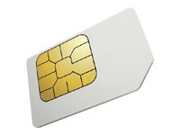 Opengear Connectivity Services Cellular Data Plan - AT&T Global Coverage - Incidental Usage - subscription licence (1 year) -