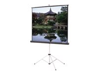 Da-Lite Picture King with Keystone Eliminator Video Format Projection screen with tripod 
