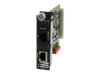 Perle eX-1CM1110-RJ - Network extender