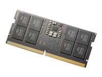 Team Elite DDR5 SDRAM 16GB 5600MHz CL46  On-die ECC SO DIMM 262-PIN