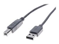 MCAD Cbles et connectiques/Liaison USB & Firewire ECF-532408