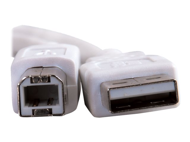 C2G 16.4ft USB to USB B Cable - USB A to USB B - USB 2.0 - White - M/M - kabel USB - USB do USB typ B - 5 m – foto 3