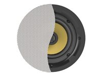 Vision CS-1900 - speaker