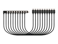 Kensington - USB-C cable - 24 pin USB-C to 24 pin USB-C - 3.5 m