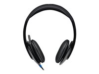 Logitech USB Headset H540 - headset
