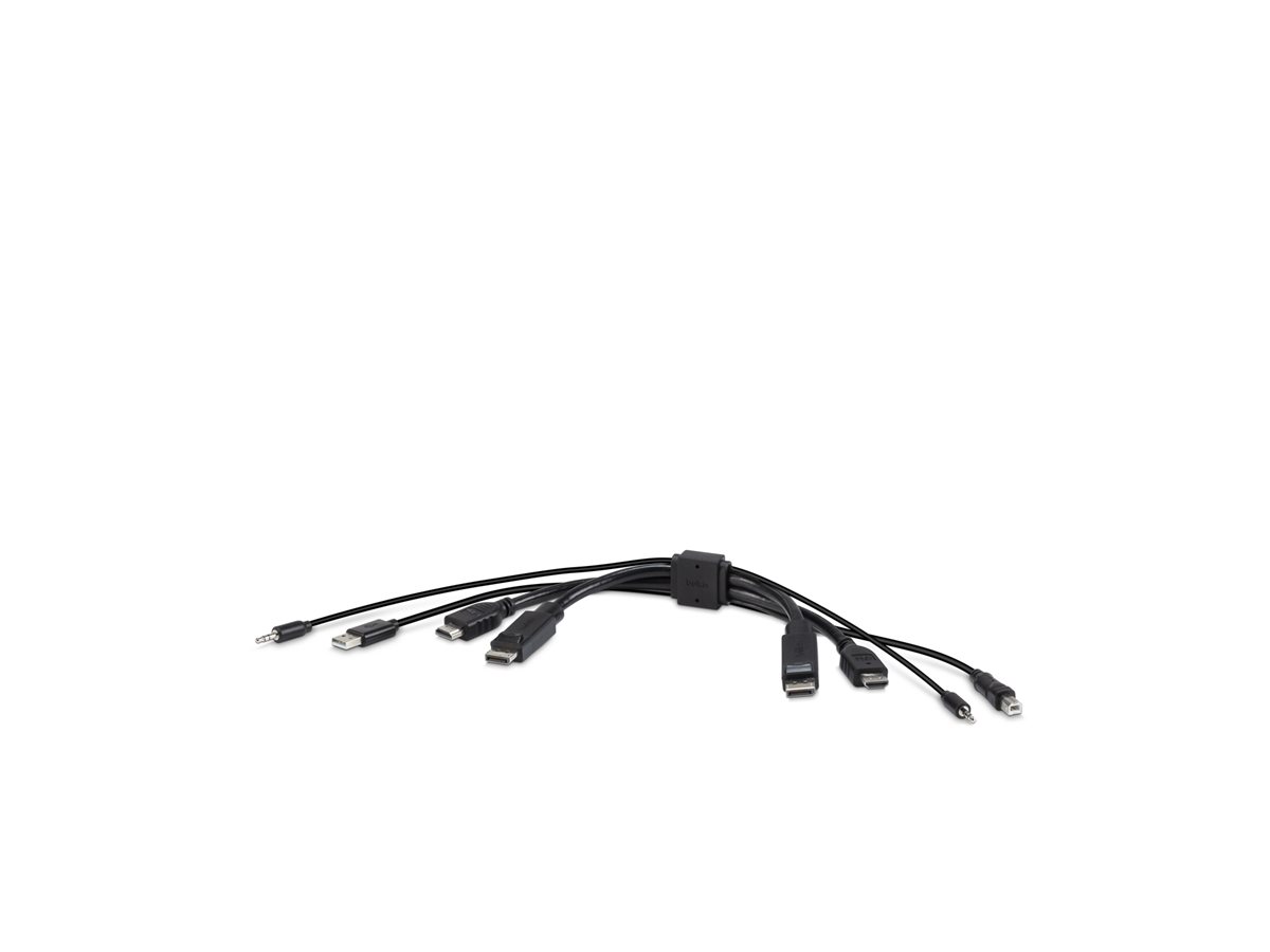 Belkin Secure KVM Combo Cable