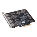 Sonnet Allegro Pro USB 3.1 PCIe