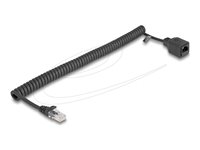 DeLOCK CAT 5e Ikke afskærmet parsnoet (UTP) 2m Forlængerkabel til netværk Sort