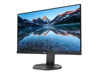 PHILIPS 252B9/00 LCD 25p 16/10 5ms-300