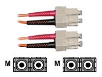 CP Technologies - Network cable