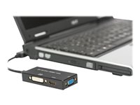 ASSMANN Videoadapter DisplayPort / HDMI / DVI / VGA 20cm Sort