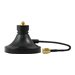Peplink ACW-409