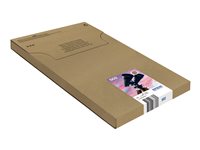 Epson 502 Multipack  Mail Packaging Sort Gul Cyan Magenta Blæk C13T02V64510