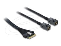 Delock Serial Attached SCSI (SAS) internt kabel Sort