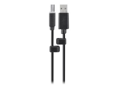 Belkin Common Access Card USB Cable USB cable TAA Compliant USB (M) to USB Type B (M)  image