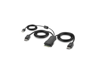 Belkin Secure Modular DP Dual Head Host Cable