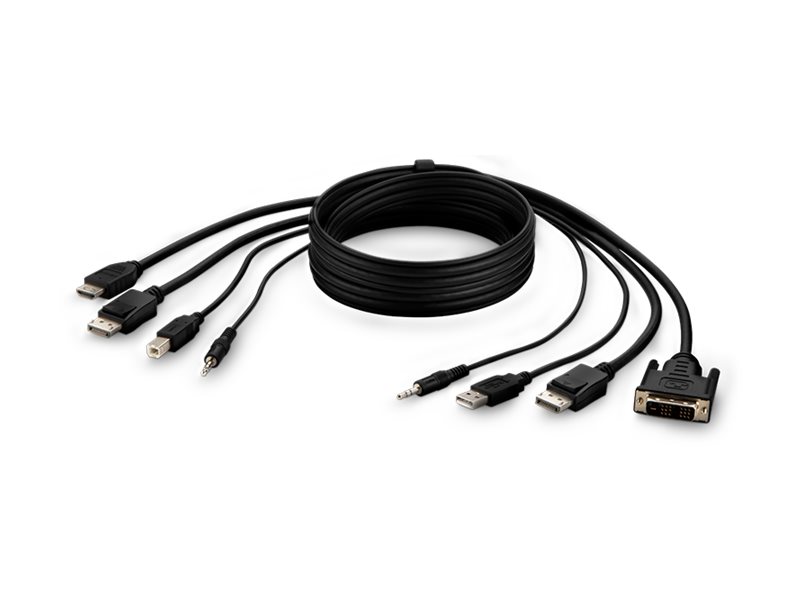 Belkin Secure KVM Combo Cable
