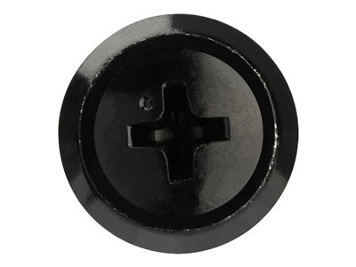 STARTECH 10-32 Käfigmuttern/Schrauben