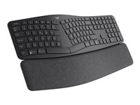 LOGI ERGO K860 - GRAPHITE (FR)