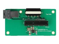 DeLOCK Adapter SFF-8643 > PCIe x4 Intern busforlænger