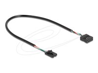 Delock USB internt kabel 30cm Sort