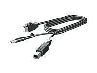 HP 300cm DP+Y CABLE L701xt