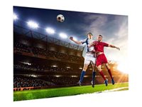 Da-Lite FullVision projection screen - 113" (287 cm)