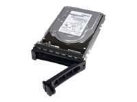 DELL 1TB 7.2K 2.5-IN 6GBS SATA H-P HDD