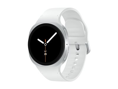 Samsung Galaxy Watch FE