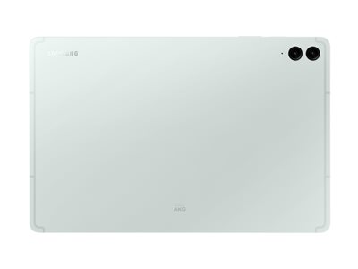 SM-X610NLGAEUB
