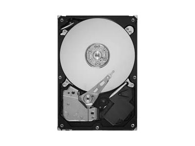 Seagate TDSourcing Barracuda LP ST32000542AS main image