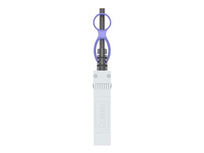 Panduit 10Gig - 10GBase direct attach cable