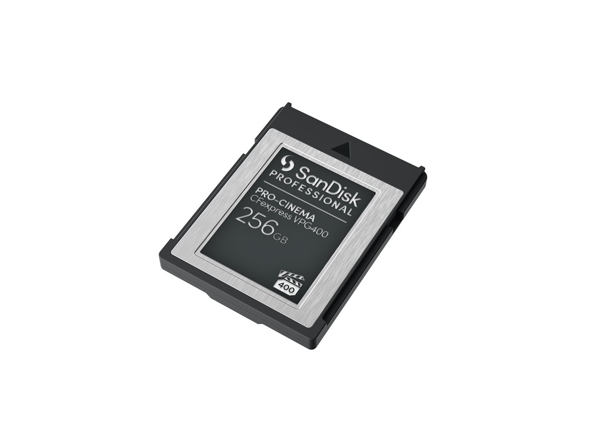SANDISK Prof. PRO-CINEMA 256Go CFexpres