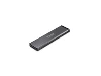 SANDISK Prof. Pro-Blade SSD Mag 2To