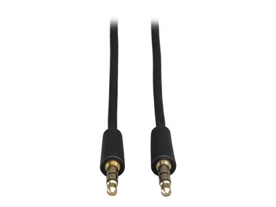 Eaton Tripp Lite Series 3.5mm Mini Stereo Audio Cable for Microphones, Speakers and Headphones (M/M), 6 ft. (1.83 m) - Audiokabel - mini-phone stereo 3.5 mm männlich zu mini-phone stereo 3.5 mm männlich - 1.8 m
