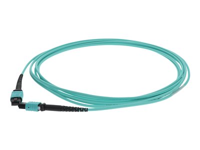 AddOn - Patch cable - MPO multi-mode (F) to MPO multi-mode (F)