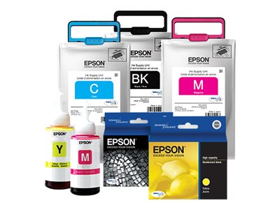 Epson 786XL With Sensor