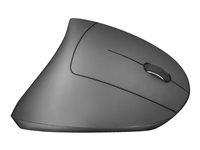 TRUST Souris sans fil ergonomique VERTO