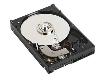 DELL 1TB 7.2K 3.5-IN 3GBS SATA 512E HDD