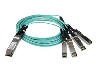 Startech AOC Breakout Cable for Cisco QSFP-4X10G-AOC3M, 3m/9.84ft 40G 1x QSFP+ to 4x SFP+ AOC Cable, 40GbE / 40Gbps QSFP Plus Transceiver Module Active Optical Fiber, C9300 C3850, - Lifetime Warranty (QSFP4X10GAO3) - breakout cable - 3 m - 3 m - black